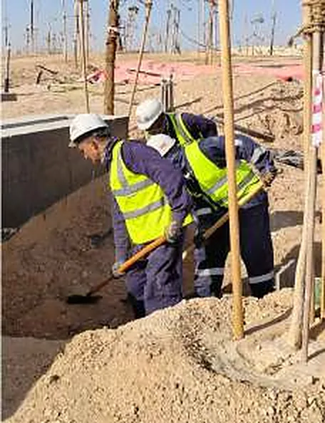 Services trench